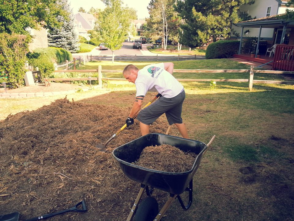 Landscaping Waste Disposal Services